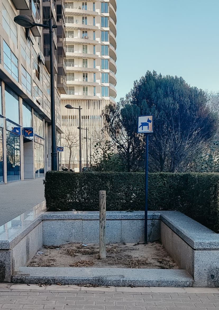 Фотография поста