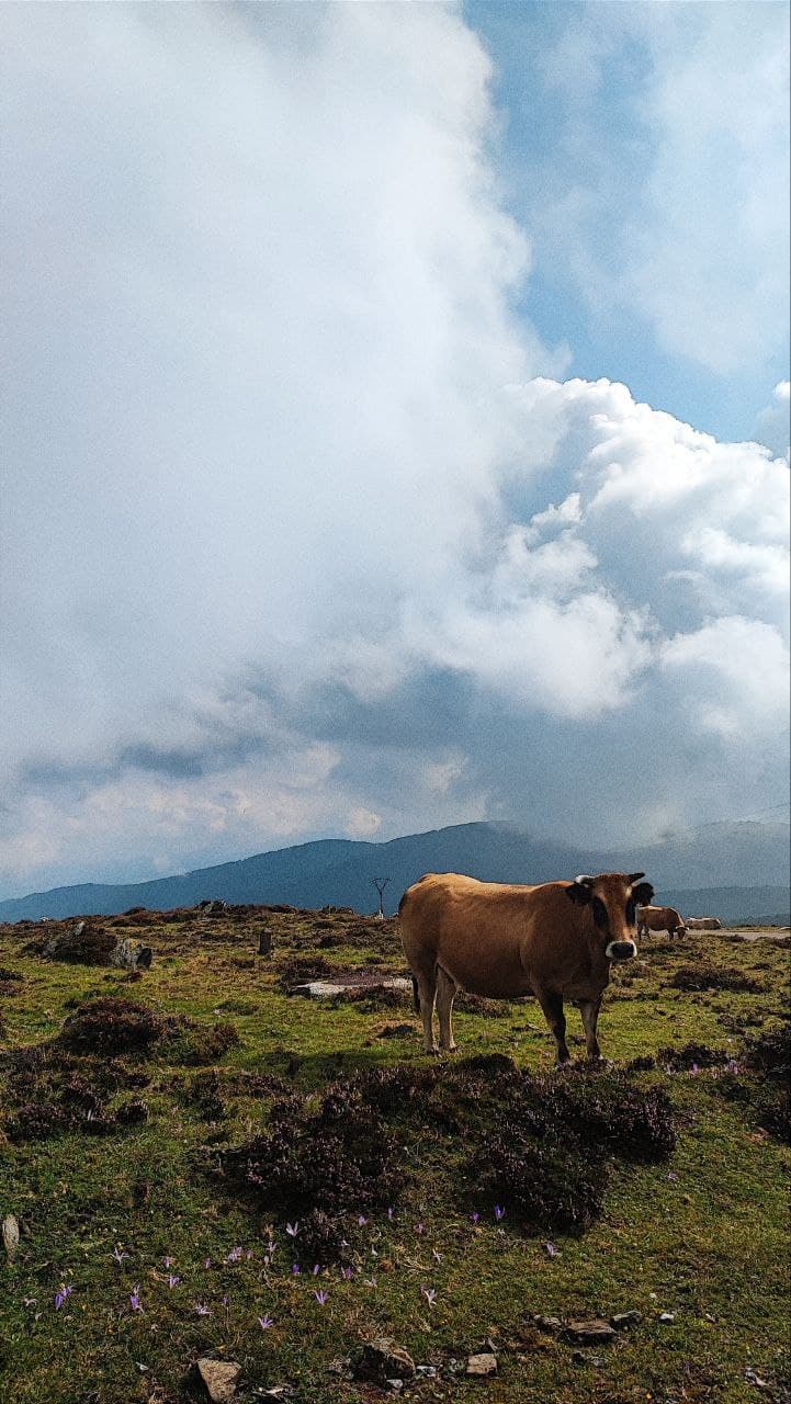 Фотография поста