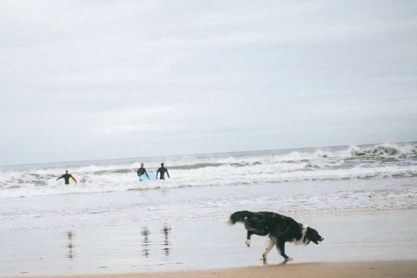 Π€ΠΎΡΠΎΠ³ΡΠ°ΡΠΈΡ ΠΏΠΎΡΡΠ°