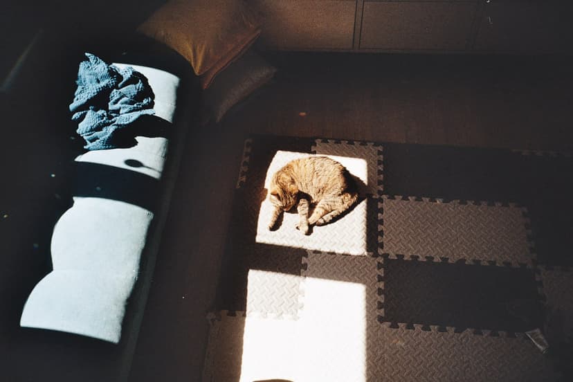 Фотография поста