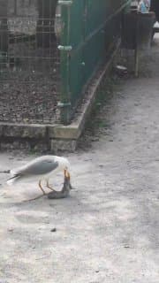 Фотография поста