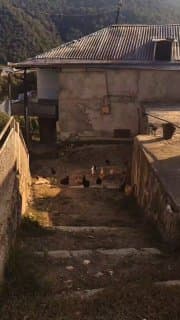 Фотография поста