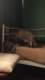 Фотография поста