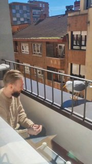 Теперь тут будет animal-blog image preview