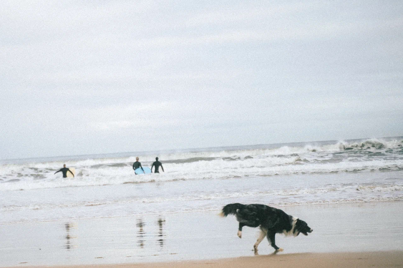 🏄‍♂️ зимний серфинг в Хихоне: экипировка image preview