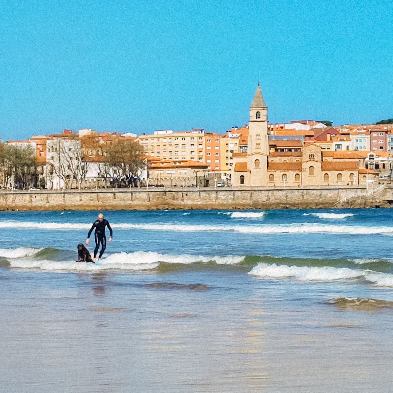 Вам не кажется, мужик серфит с пёселем! image preview